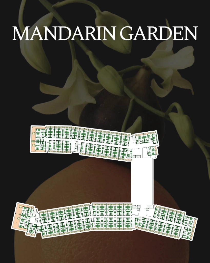 Планировки Layouts